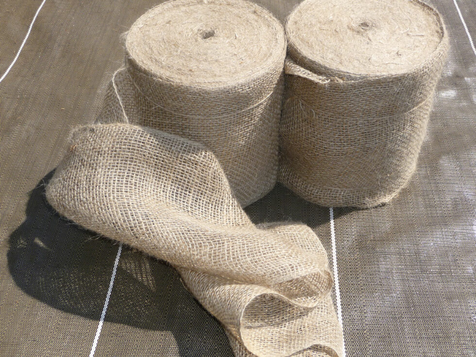 Tuteurage: Bandes jute-bandes-jute